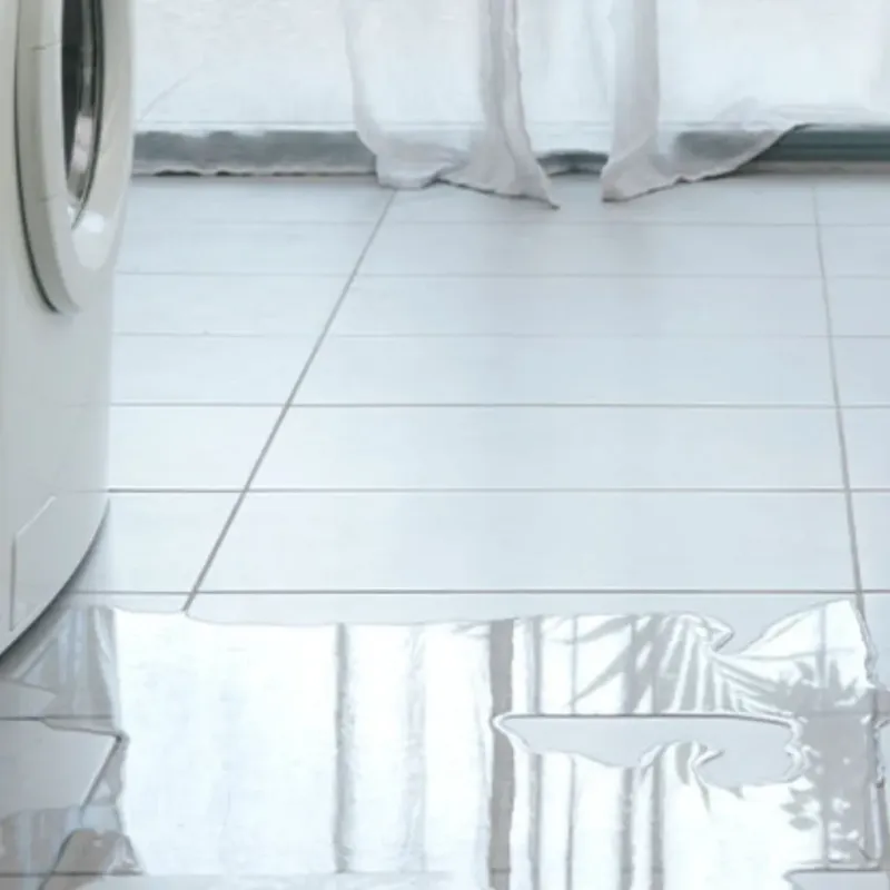 Appliance Leak Cleanup in Saint Charles County, MO